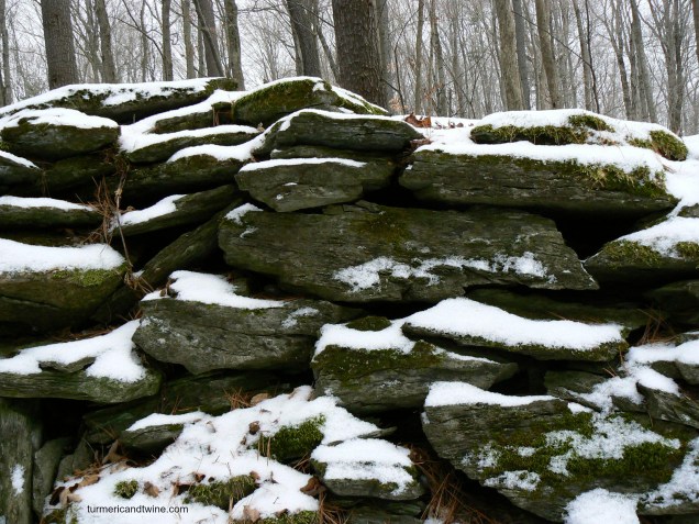 mohican ruins 6