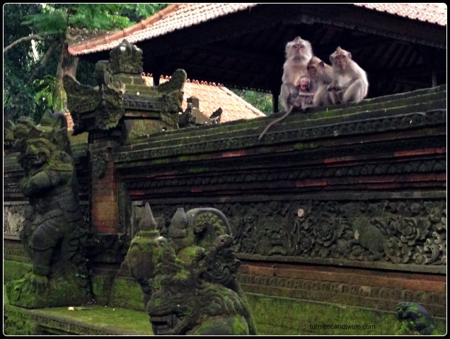 monkey family Bali