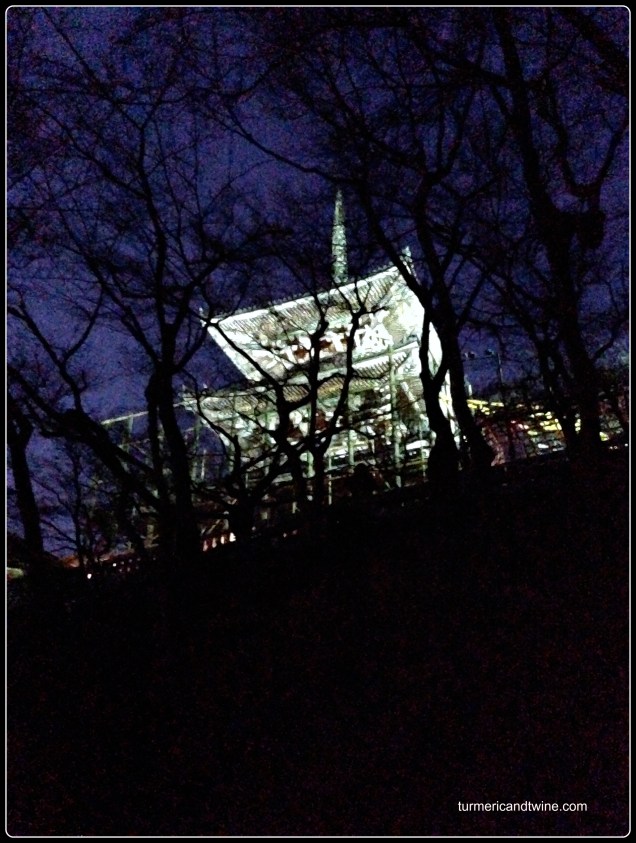 Kyoto shrine at night.jpg