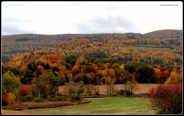 Autumn in the Berkshires 2
