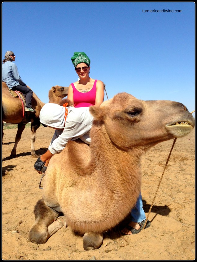 Camel riding, Gobi Desert, Mongolia