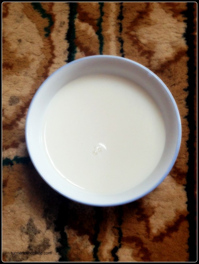 airag, fermented camel's milk