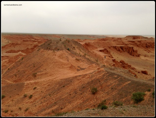 Red Cliffs, Mongolia 1